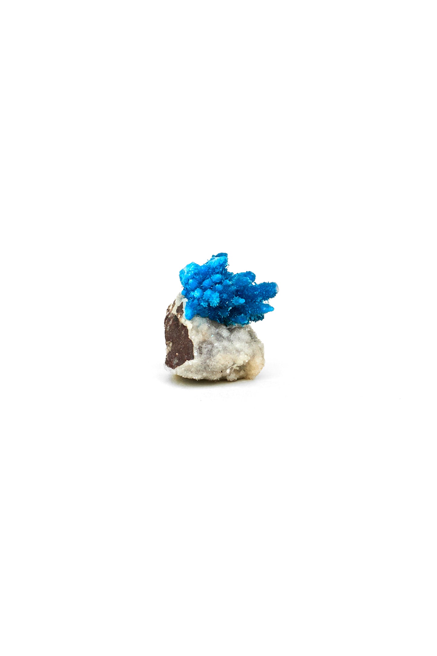 Cavansite on Druzy Matrix