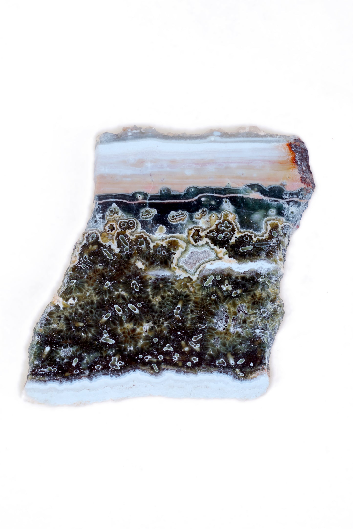Ocean Jasper Slice