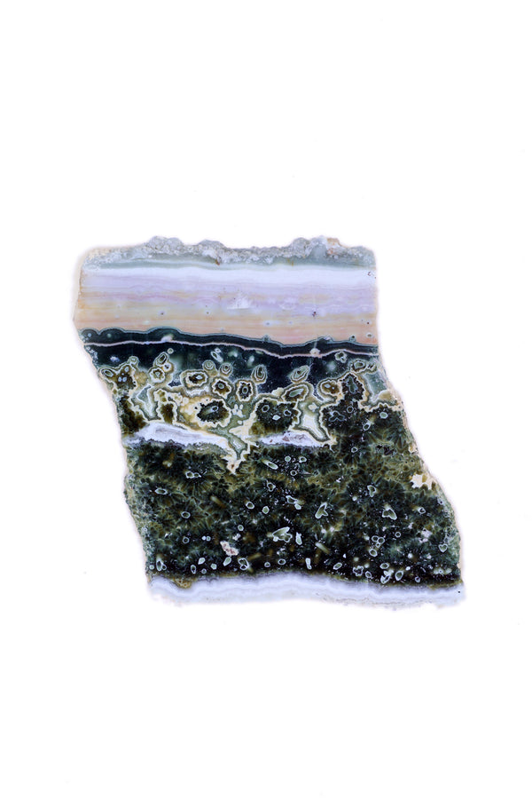 Ocean Jasper Slice