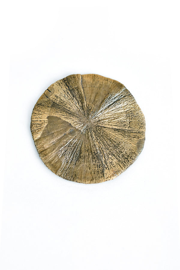 Pyrite Sun